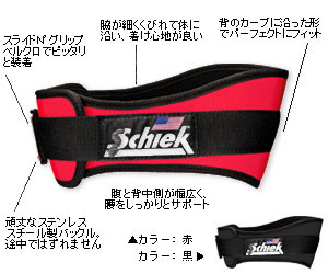 トレーニングベルト
